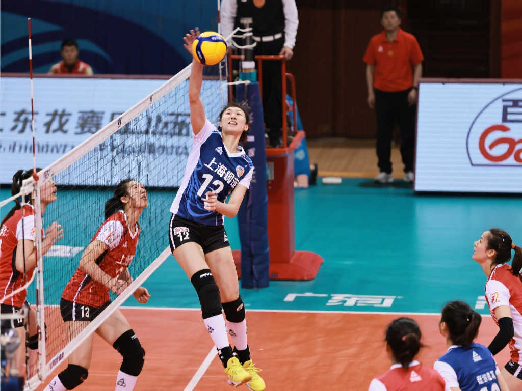 的灌输和战 的灌输和战