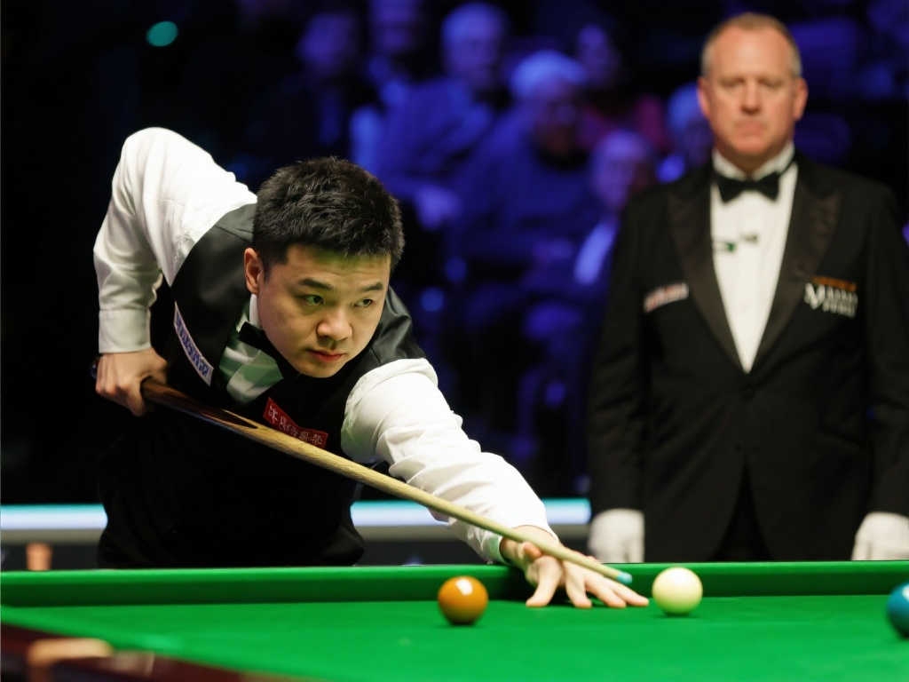 或许我们将 或许我们将